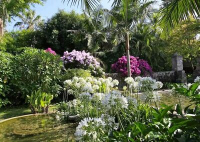 Esperto in progettazione e manutenzione  di giardini mediterranei